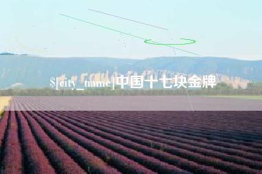 衢州中国十七块金牌