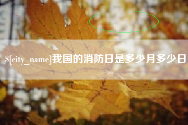 衢州我国的消防日是多少月多少日