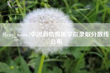 衢州中国消防救援学院录取分数线公布