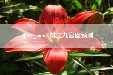 衢州排三九宫图预测