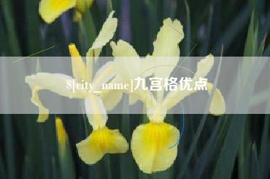 衢州九宫格优点