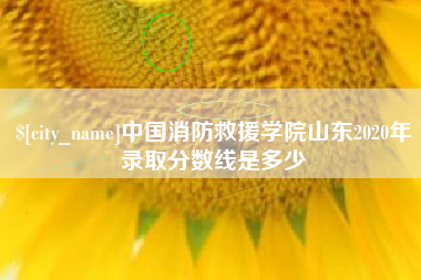衢州中国消防救援学院山东2020年录取分数线是多少