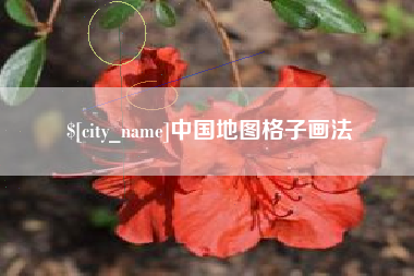 衢州中国地图格子画法