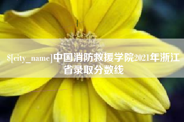衢州中国消防救援学院2021年浙江省录取分数线