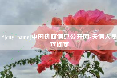 衢州中国执政信息公开网-失信人员查询页