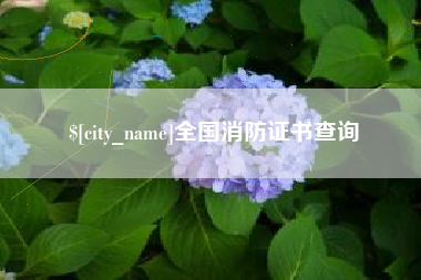 衢州全国消防证书查询