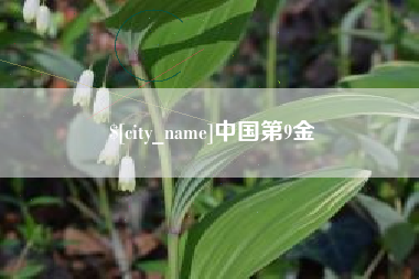 衢州中国第9金