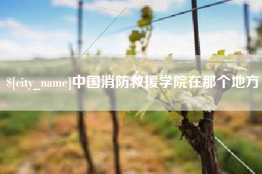 衢州中国消防救援学院在那个地方