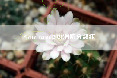 衢州2021消防分数线