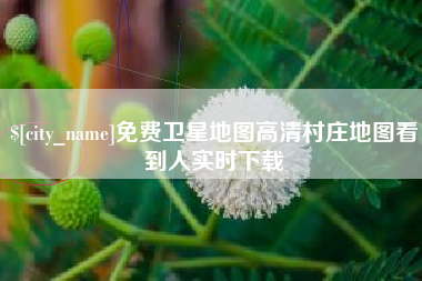衢州免费卫星地图高清村庄地图看到人实时下载