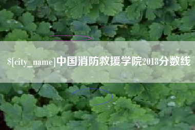 衢州中国消防救援学院2018分数线