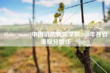 衢州中国消防救援学院2020年各省录取分数线