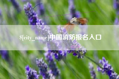 衢州中国消防报名入口