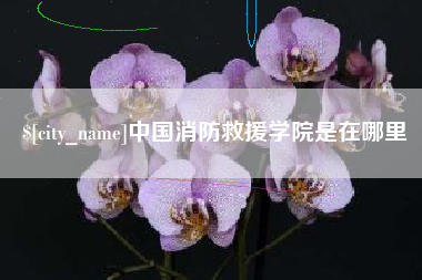 衢州中国消防救援学院是在哪里