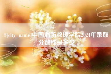 衢州中国消防救援学院2024年录取分数线是多少