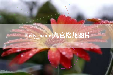 衢州九宫格龙图片