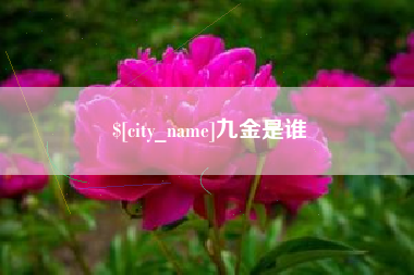 衢州九金是谁