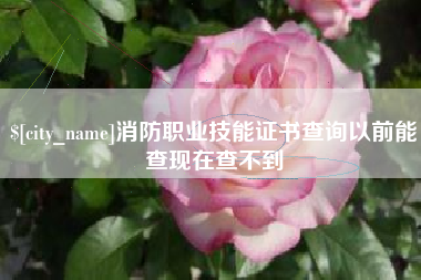 衢州消防职业技能证书查询以前能查现在查不到