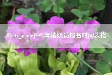 衢州2025年消防员报名时间表格