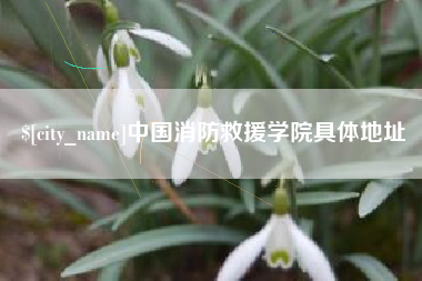 衢州中国消防救援学院具体地址