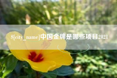 衢州中国金牌是哪些项目2021