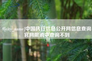 衢州中国执行信息公开网信息查询官网限消中查询不到