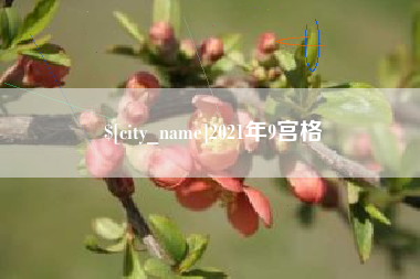 衢州2021年9宫格