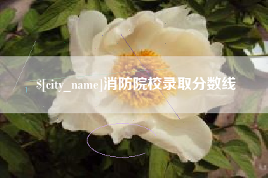 衢州消防院校录取分数线