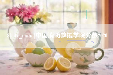 衢州中国消防救援学院分数2020