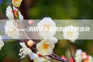 衢州消防日全国消防日主题活动