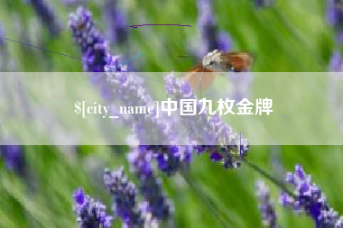 衢州中国九枚金牌