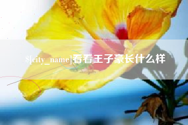 衢州看看王子豪长什么样