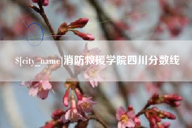 衢州消防救援学院四川分数线
