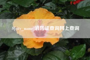衢州消防证查询网上查询
