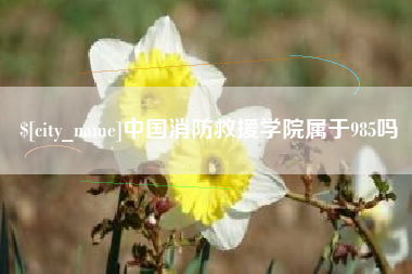 衢州中国消防救援学院属于985吗