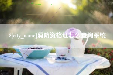 衢州消防资格证怎么查询系统