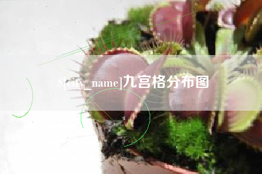 衢州九宫格分布图