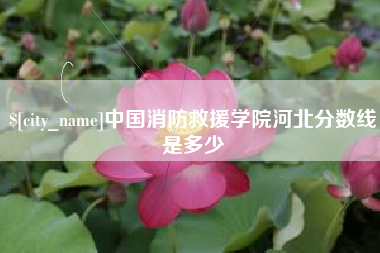 衢州中国消防救援学院河北分数线是多少