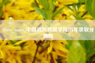 衢州中国消防救援学院历年录取分数线