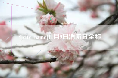 衢州11月9日消防日全称