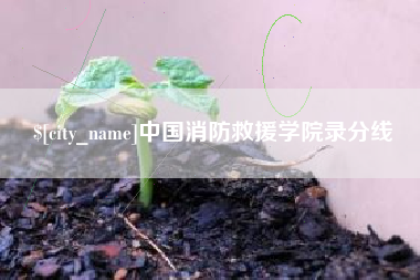 衢州中国消防救援学院录分线