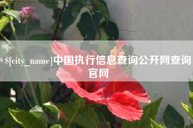 衢州中国执行信息查询公开网查询官网