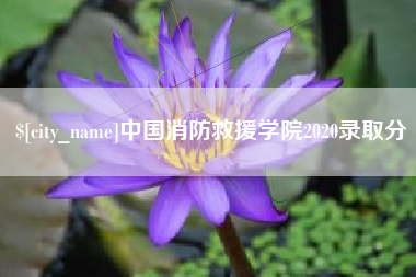 衢州中国消防救援学院2020录取分