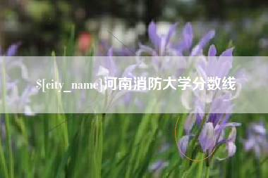 衢州河南消防大学分数线