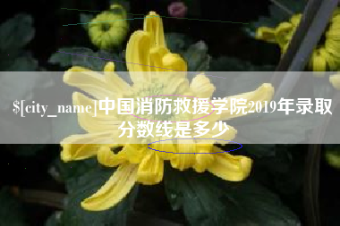 衢州中国消防救援学院2019年录取分数线是多少