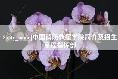 衢州中国消防救援学院简介及招生章程指挥部