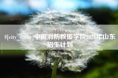 衢州中国消防救援学院2021年山东招生计划