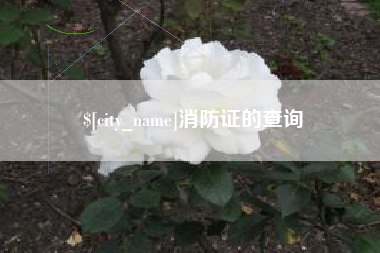 衢州消防证的查询