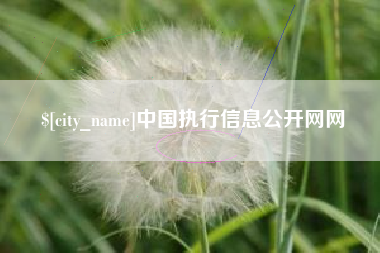 衢州中国执行信息公开网网