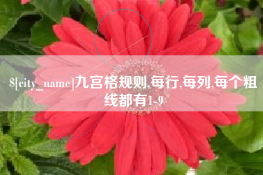 衢州九宫格规则,每行,每列,每个粗线都有1-9